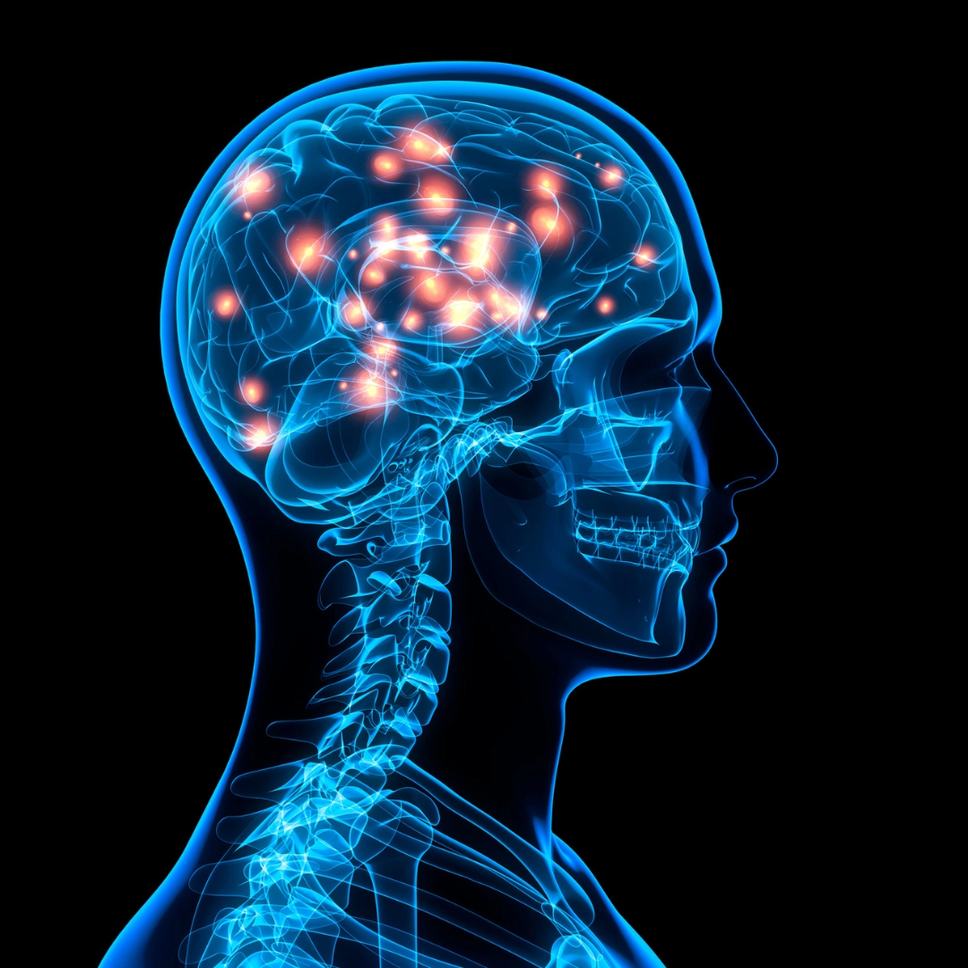 Connection Between Hearing Loss and Cognitive Decline in Maui HI